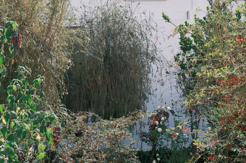 Double Crush 攝影書拍攝計畫｜王湘靈｜國藝會補助成果檔案庫